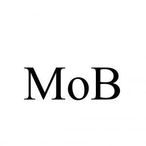 Molybdenum boride
