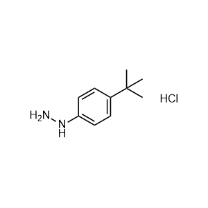 4-tert-Butyl phenylhydrazine hydrochloride