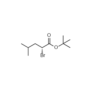 tert-Butyl (R)-2-bromo-4-methylpentanoate