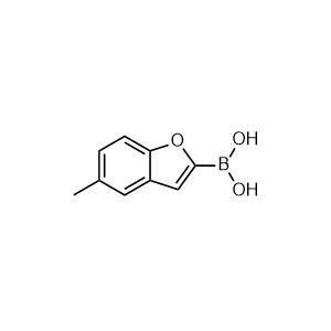(5-methylbenzofuran-2-yl)boronic acid