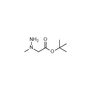 tert-Butyl N-amino-N-methylglycinate