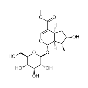 Methyl (1S,4aS,6S,7R,7aS)-6-hydroxy-7-methyl-1-(((2S,3R,4S,5S,6R)-3,4,5-trihydroxy-6-(hydroxymethyl)tetrahydro-2H-pyran-2-yl)oxy)-1,4a,5,6,7,7a-hexahydrocyclopenta[c]pyran-4-carboxylate