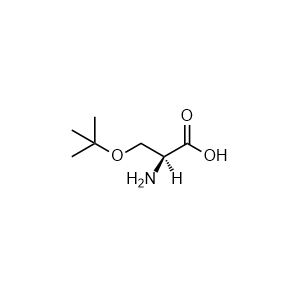 O-tert-Butyl-L-serine