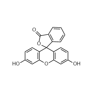 Fluorescein