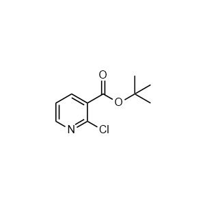 tert-Butyl 2-chloronicotinate