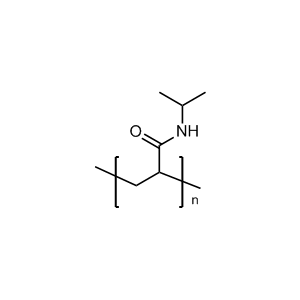 Poly(N-isopropylacrylamide)