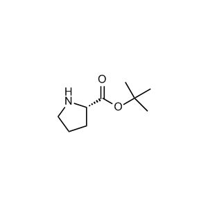 L-Proline t-butyl ester