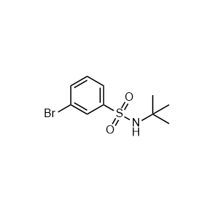 3-Bromo-N-tert-butylbenzenesulfonamide