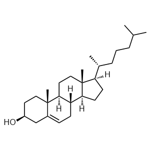 Cholesterol