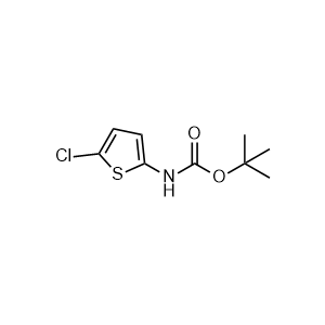 tert-Butyl (5-chlorothiophen-2-yl)carbamate