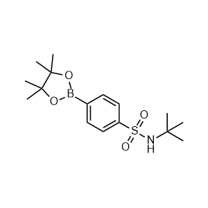 N-(tert-Butyl)-4-(4,4,5,5-tetramethyl-1,3,2-dioxaborolan-2-yl)benzenesulfonamide