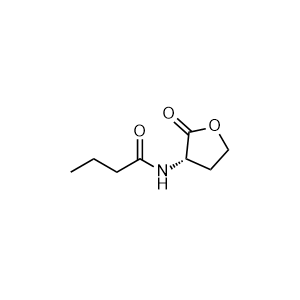 N-Butanoyl-L-homoserine lactone