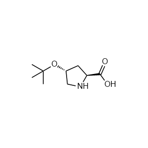 (2S,4R)-4-(tert-Butoxy)pyrrolidine-2-carboxylic acid
