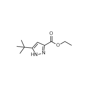 Ethyl 5-tert-butyl-2H-pyrazole-3-carboxylate