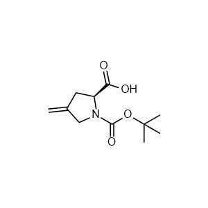 N-Boc-4-Methylene-L-proline