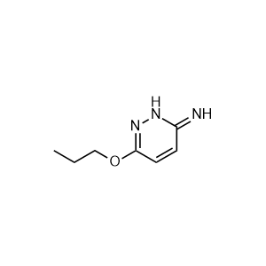 6-propoxypyridazin-3(2H)-imine