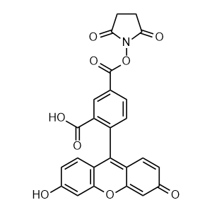 5-Carboxyfluorescein N-Succinimidyl Este