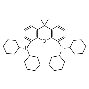 (9,9-Dimethyl-9H-xanthene-4,5-diyl)bis(dicyclohexylphosphane)