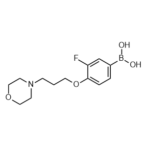 (3-fluoro-4-(3-morpholinopropoxy)phenyl)boronic acid